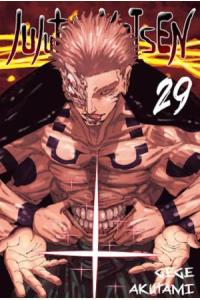 Jujutsu kaisen 29
