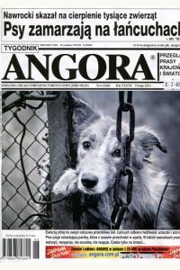 Angora